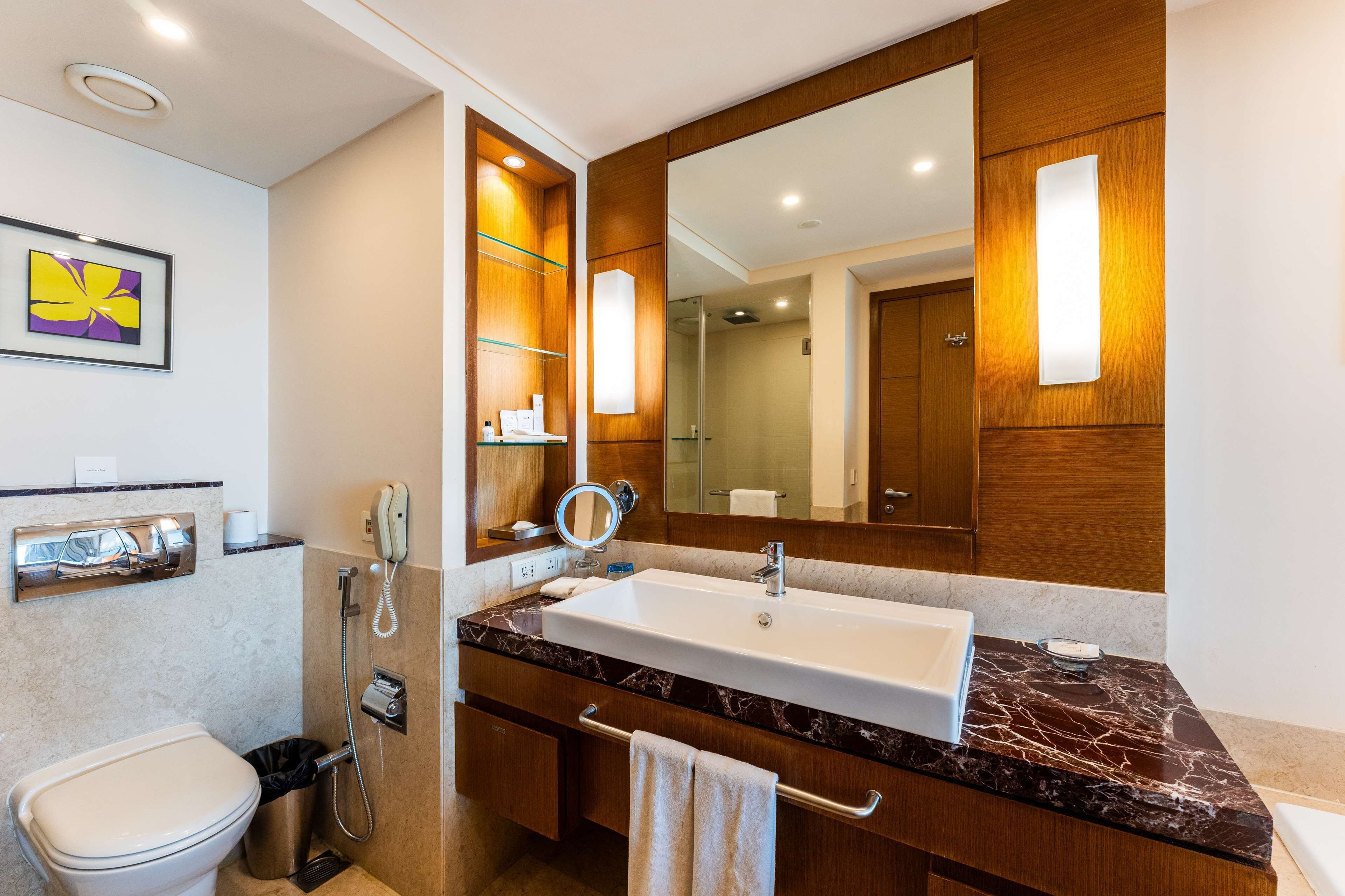business room (business class) | bathroom | shower, hair dryer, bathrobes, towels