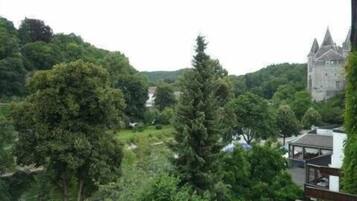 A castle surrounded by lush greenery and a river.