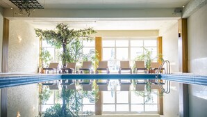 Una piscina interior con sillas y plantas en macetas.