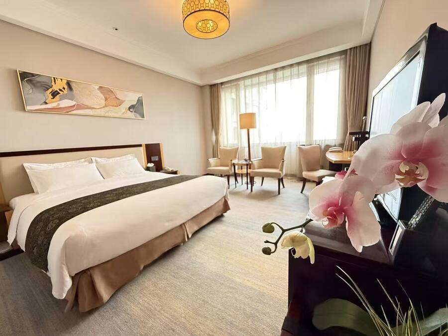 A hotel room with a bed, a desk, a chair, a TV, and a large window.