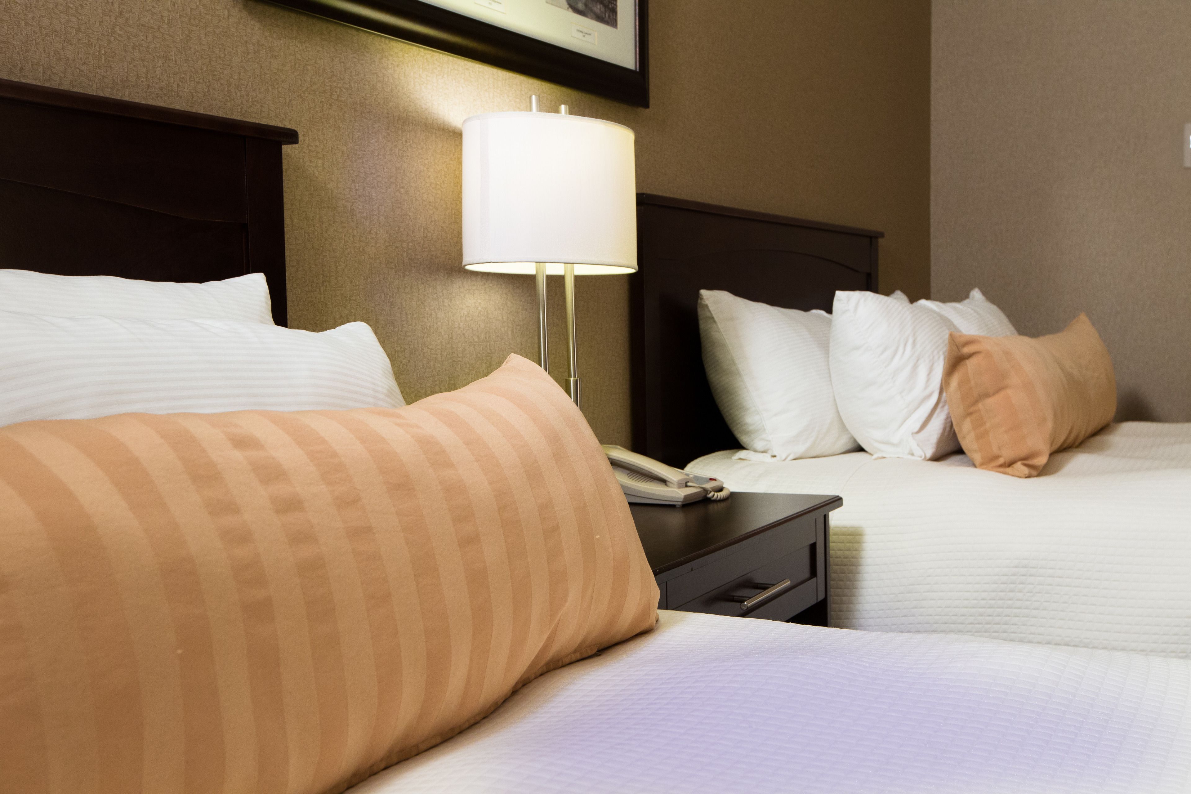 double room, 2 queen beds | 1 bedroom, premium bedding, pillow-top beds, desk