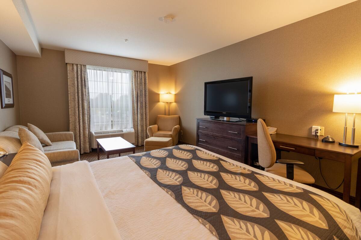 A hotel room with a large bed, a desk with a computer, a TV, a sofa, and a chair.