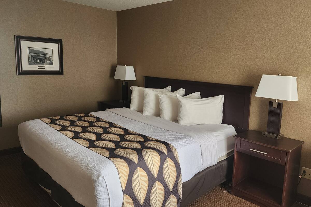A hotel room with a large bed, two bedside tables, a framed picture on the wall, and a patterned throw blanket.