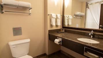 Baño con inodoro, lavamanos, espejo, perchero para toallas y un cartel que indica el tipo de habitación.