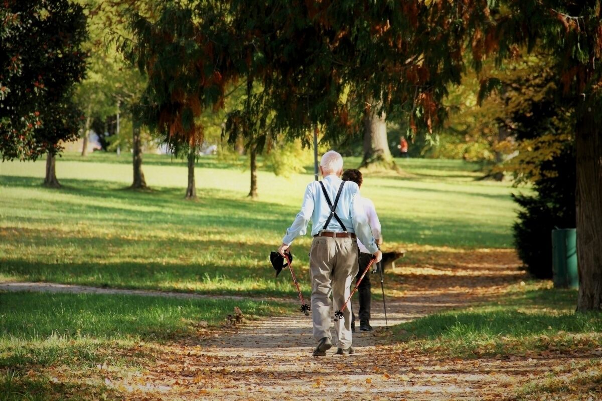 A pathway in a park with trees and grass.