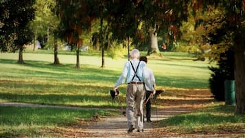 A pathway in a park with trees and grass.