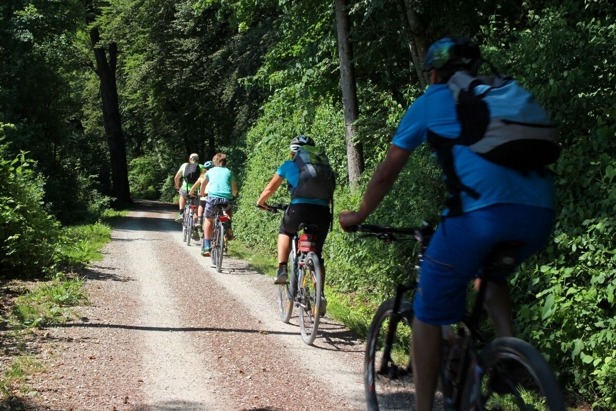 A group of cyclists on a gravel path surrounded by dense greenery.
