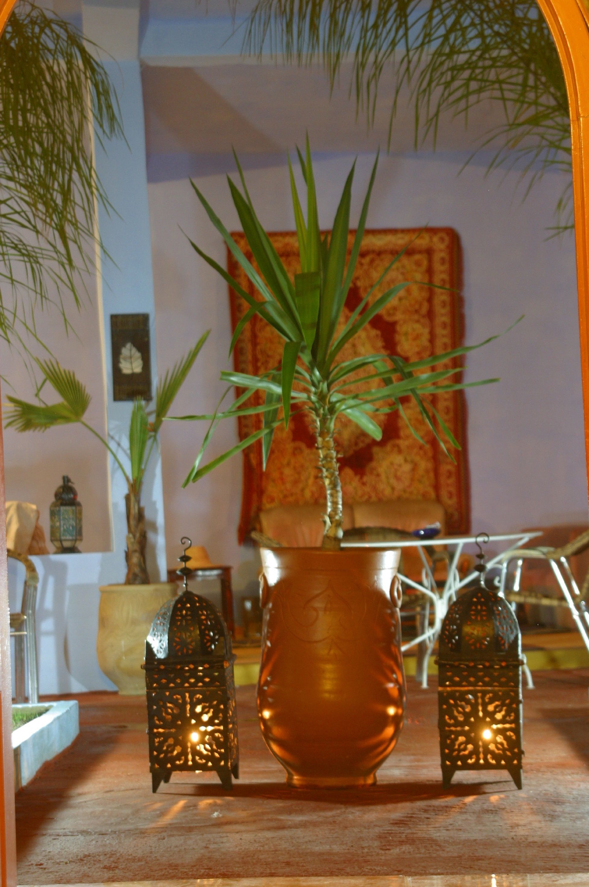 Foto - Dar Omar Khayam