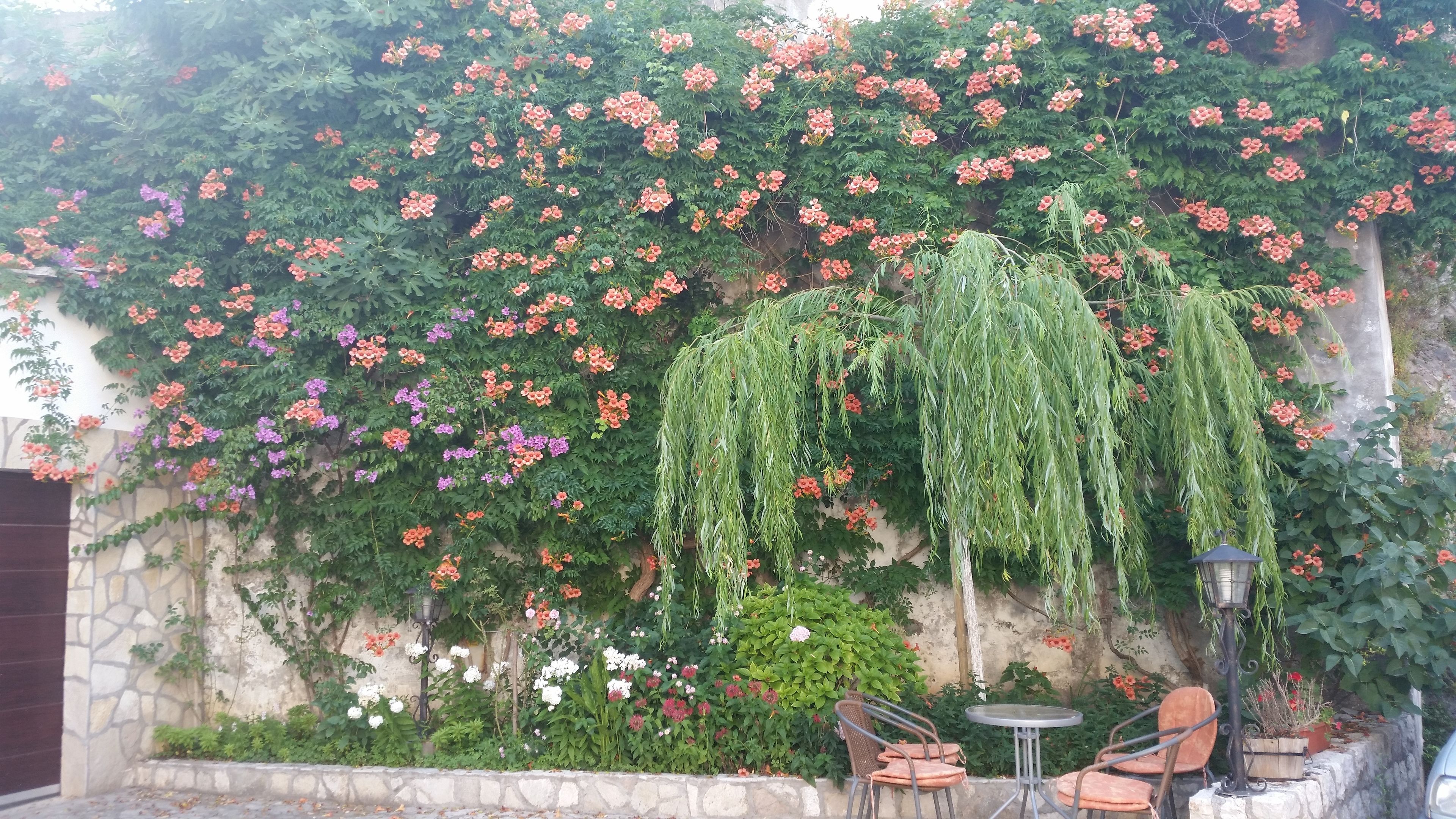 Photo - Villa Cardak