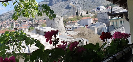 Vista desde la habitación