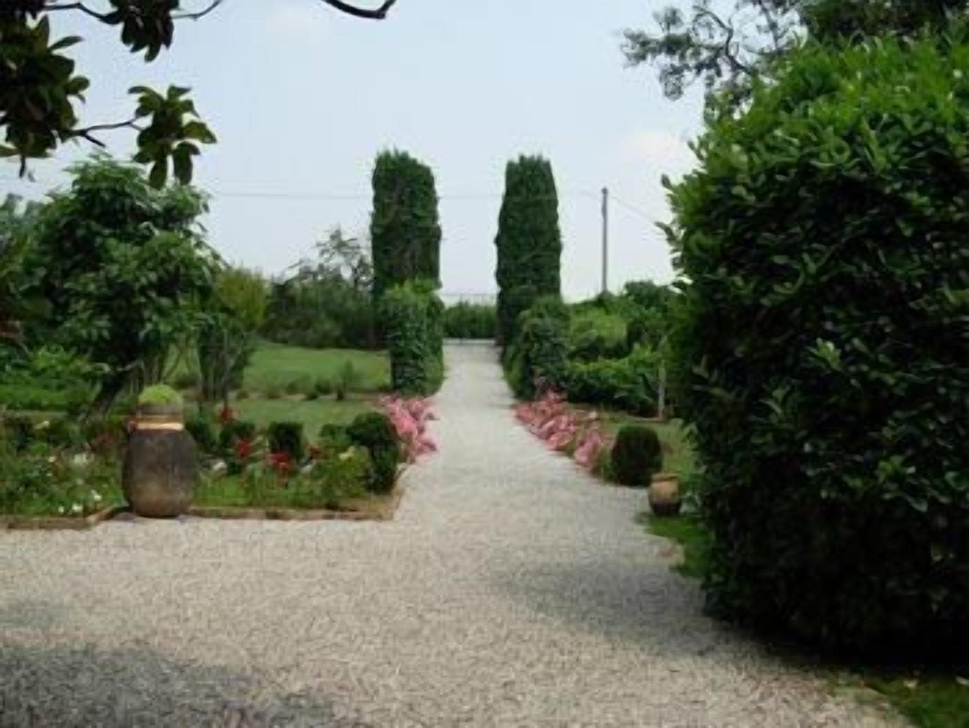 A gravel pathway leading through a garden with various shrubs and a tall, narrow tree.