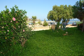 Garden - Maria's Studios (Sfakia)