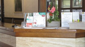 A reception desk with informational brochures, a potted plant, and a window with a view. - Hôtel des Rochers (Marvejols)