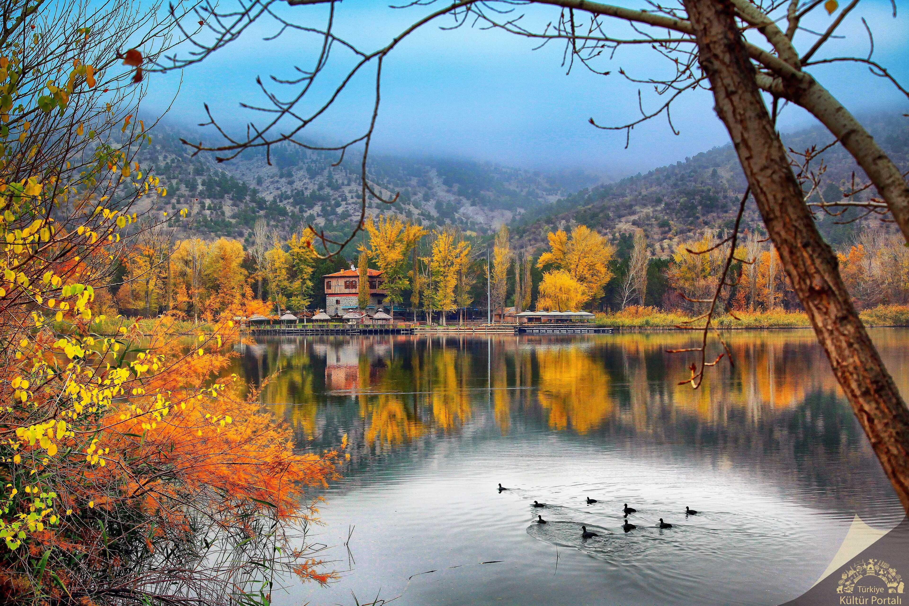 Photo - New Park Hotel