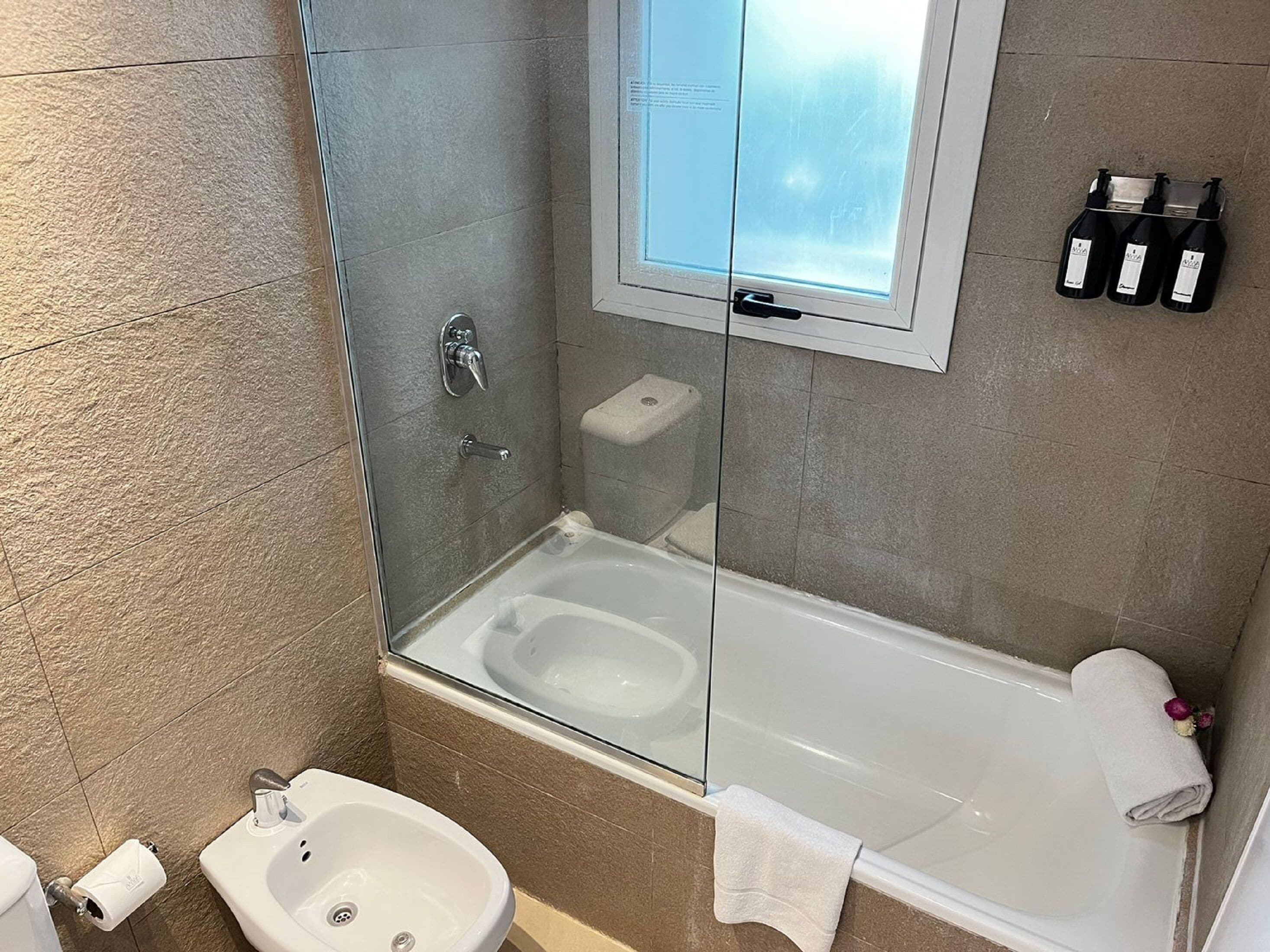 combined shower/bathtub, free toiletries, hair dryer, bidet