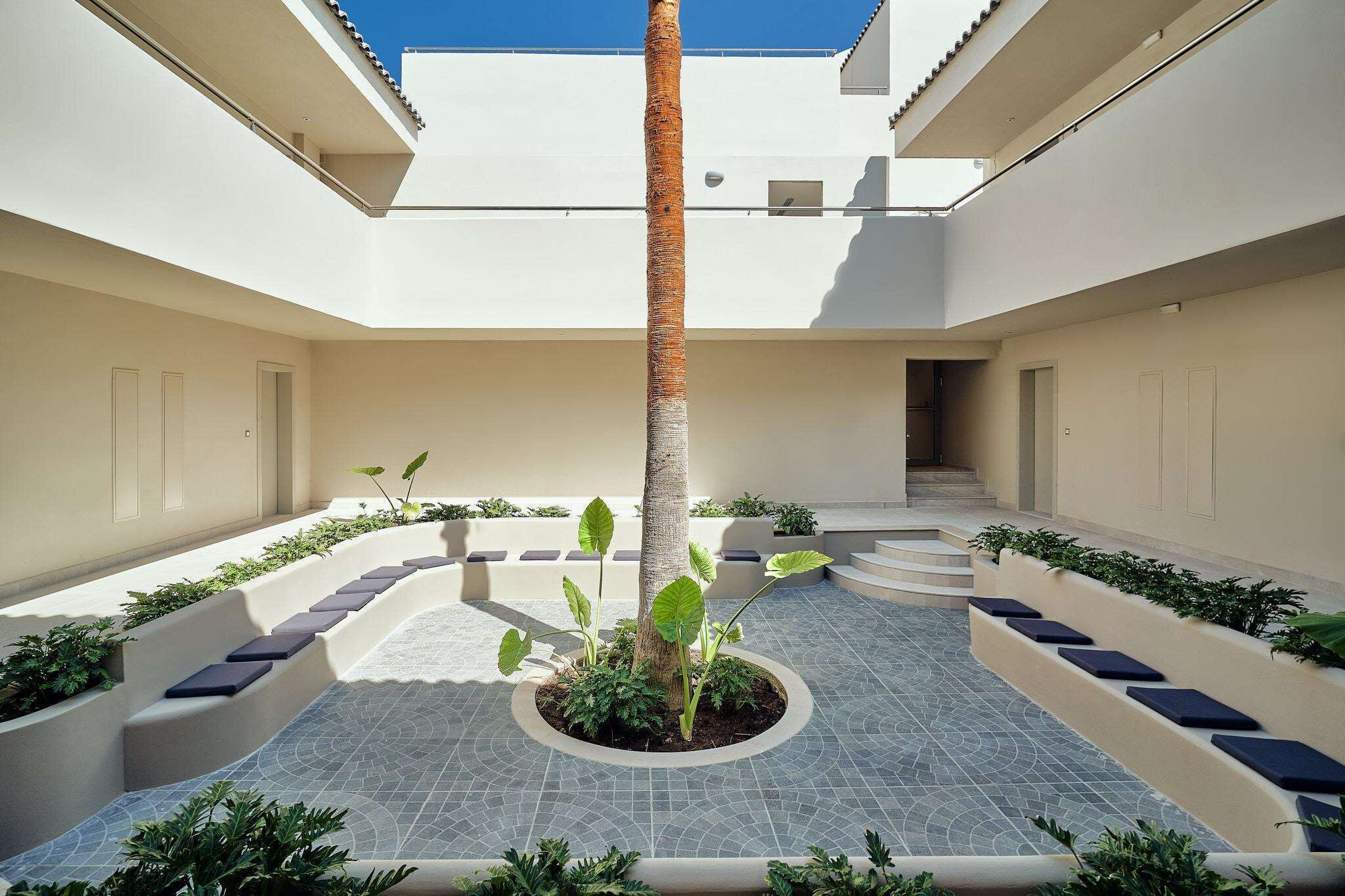 Un patio con una palmera en el centro, rodeado de escalones y macetas.