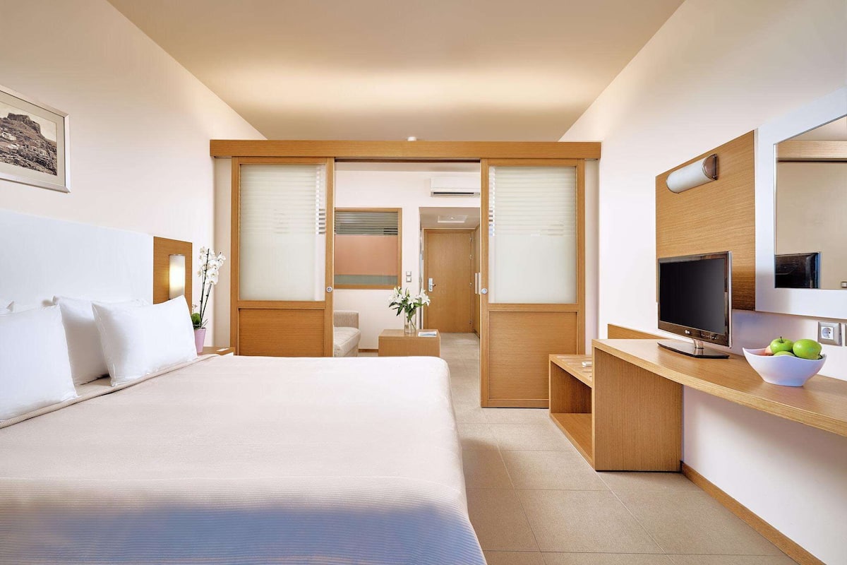 A hotel room with a large bed, a desk with a television, and a mirror.
