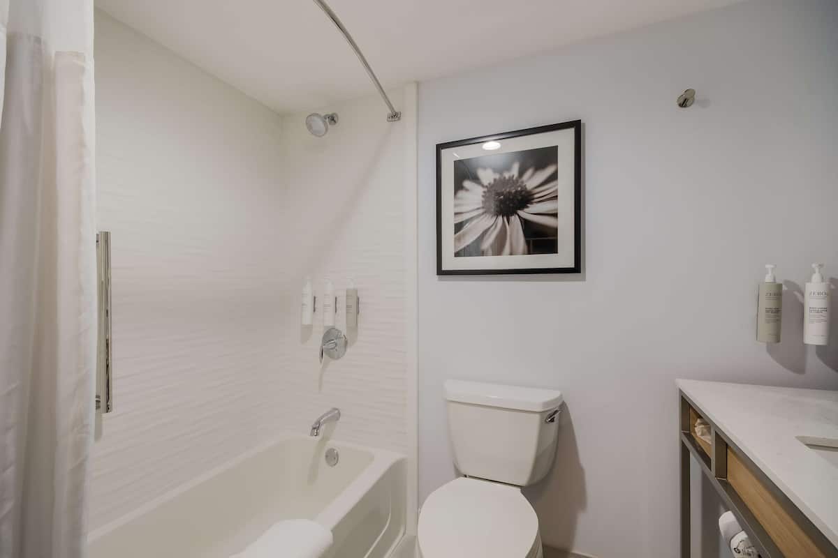 A bathroom with a bathtub, toilet, and a framed picture on the wall.