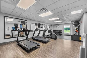Fitness facility - Hampton Inn & Suites St. Louis/South I-55 (St. Louis)