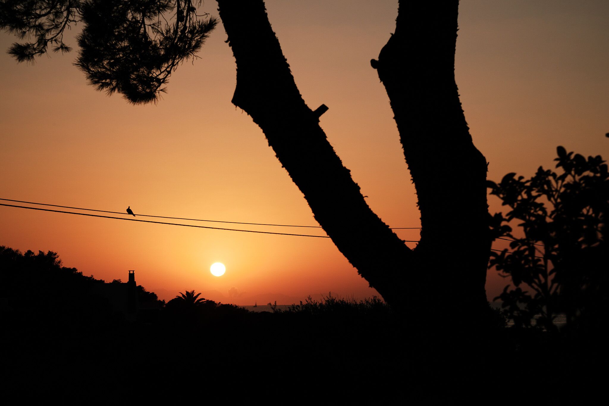 3 restaurants, breakfast, lunch, dinner served; asian cuisine