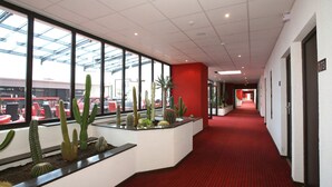 A hotel corridor with a red carpet, large windows, and a cactus display.