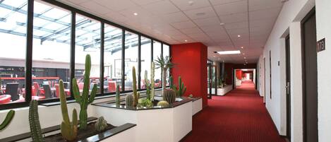 Pasillo de hotel con alfombra roja, ventanas amplias y una exhibición de cactus.