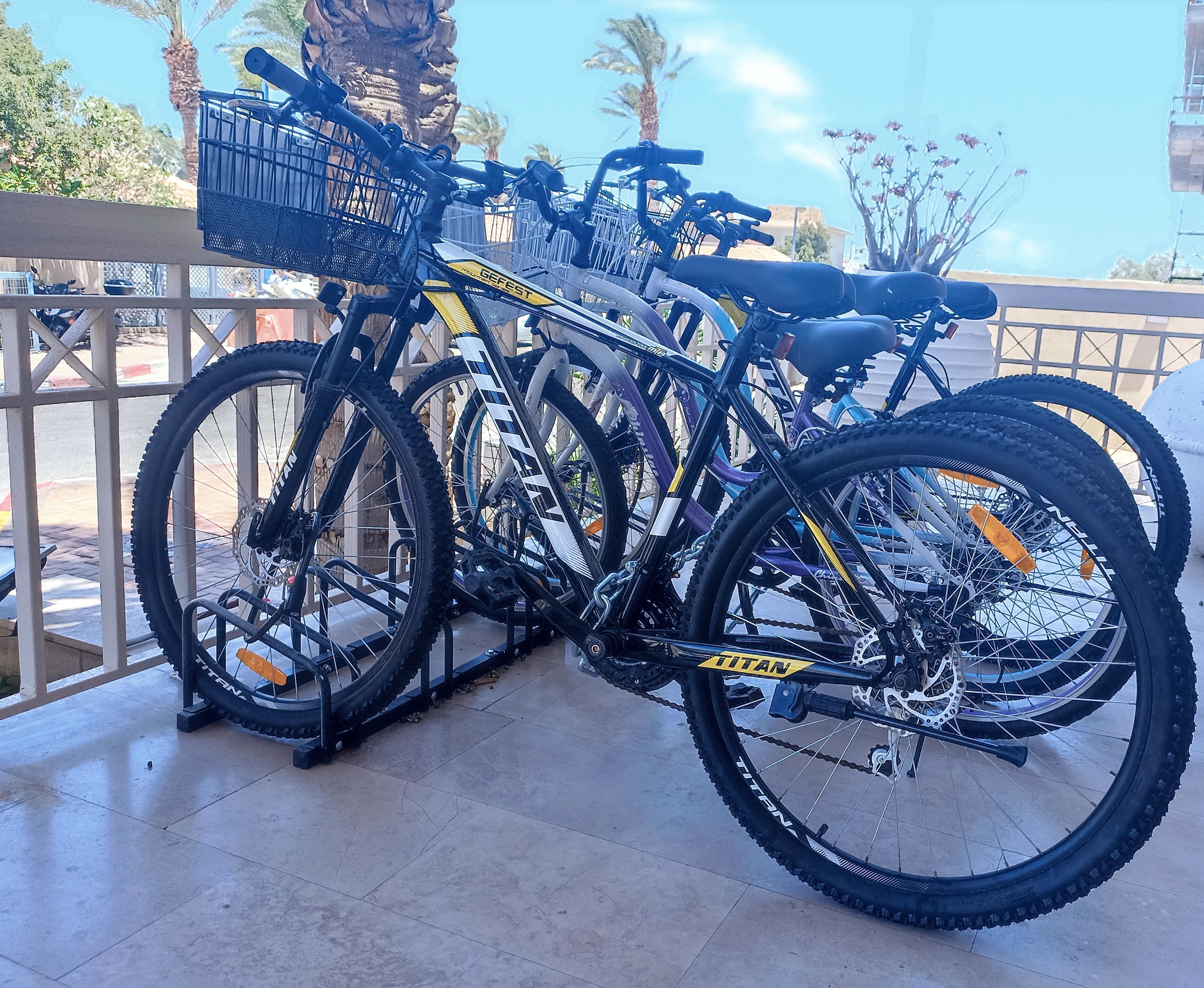 A row of bicycles parked outdoors, with a clear view of the surrounding area including palm trees and a building in the background.