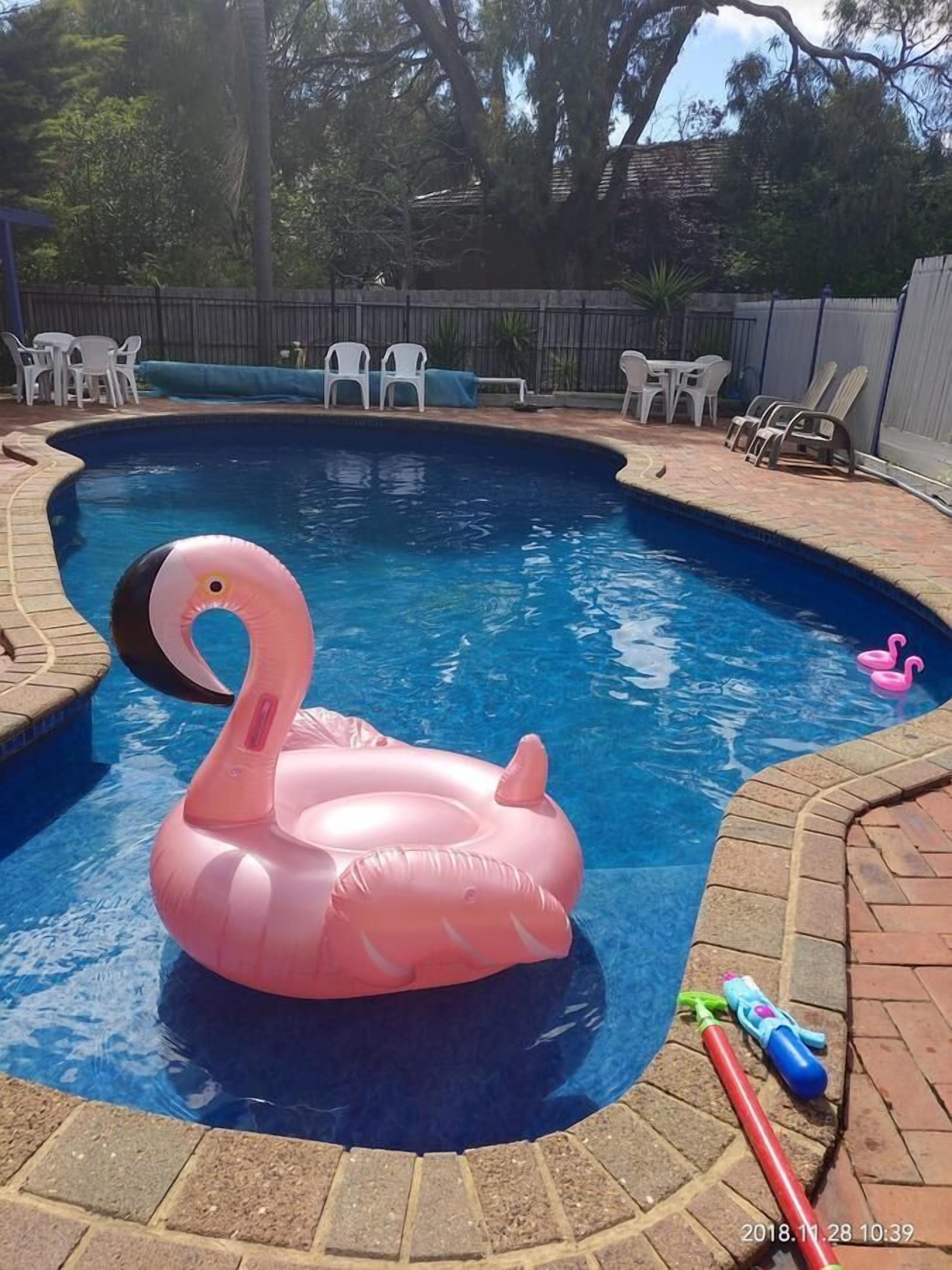 Outdoor pool, open noon to 8 PM, pool loungers