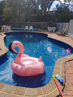 Outdoor pool, open noon to 8 PM, sun loungers - The Coachman Motel & Units (Cowes)
