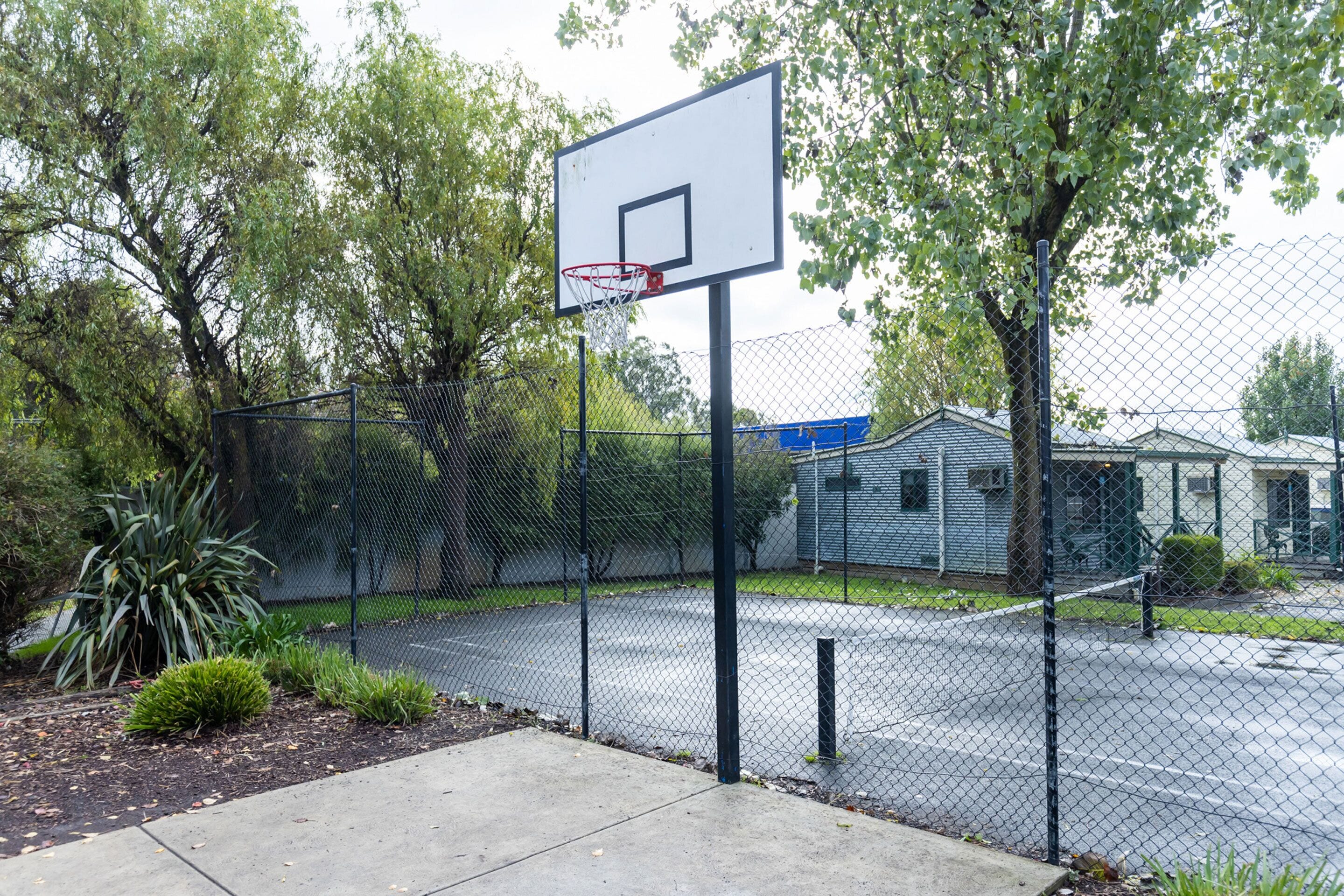 Een basketbalveld met een hek van gaas, bomen en een gebouw op de achtergrond.