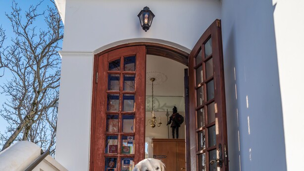 Un perro de pie sobre una escalera de piedra que conduce a una puerta de madera con paneles de vidrio.