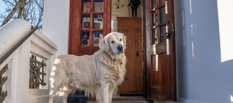 Guesthouse Galtafell