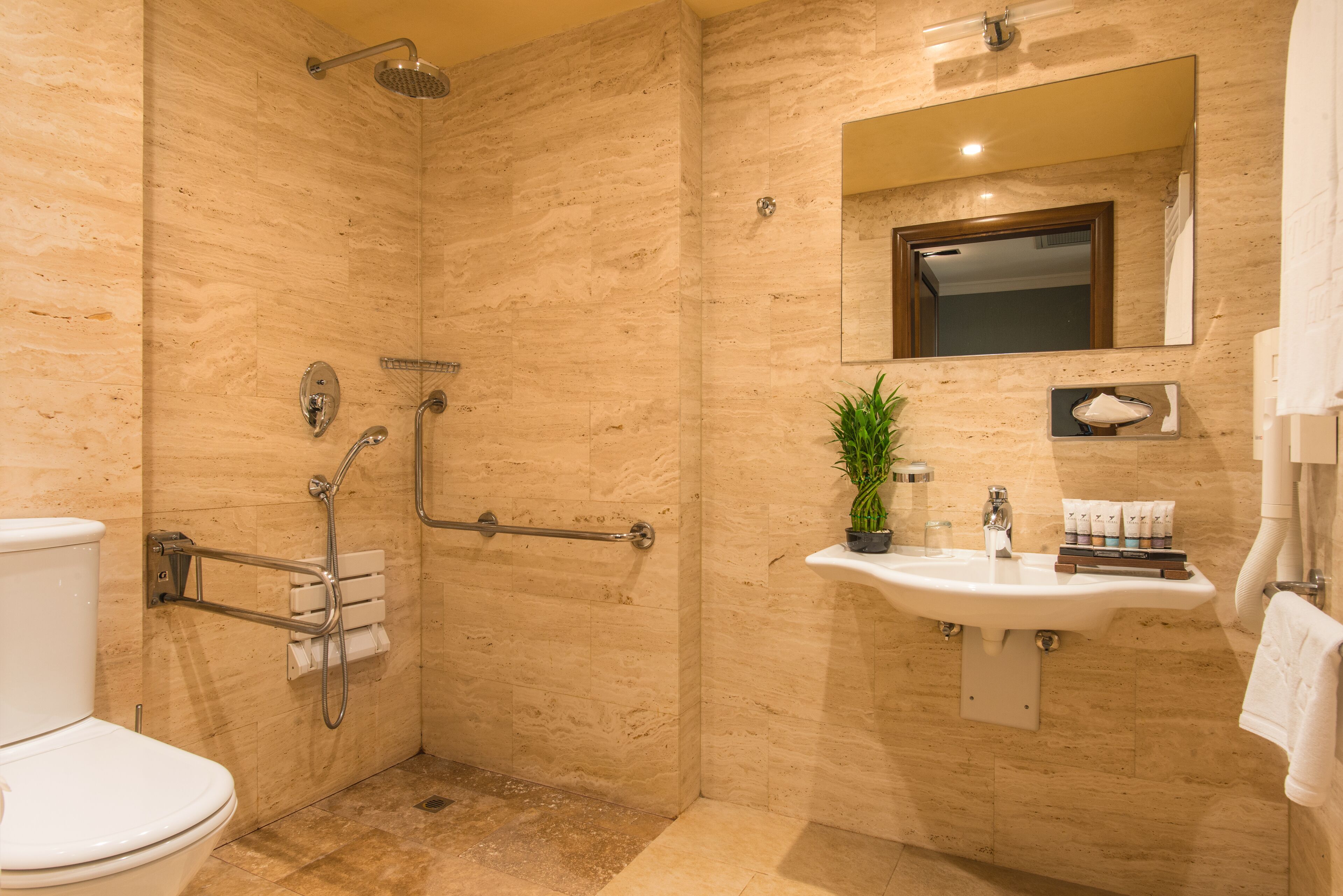 double room - disability access | bathroom | shower, free toiletries, hair dryer, bathrobes