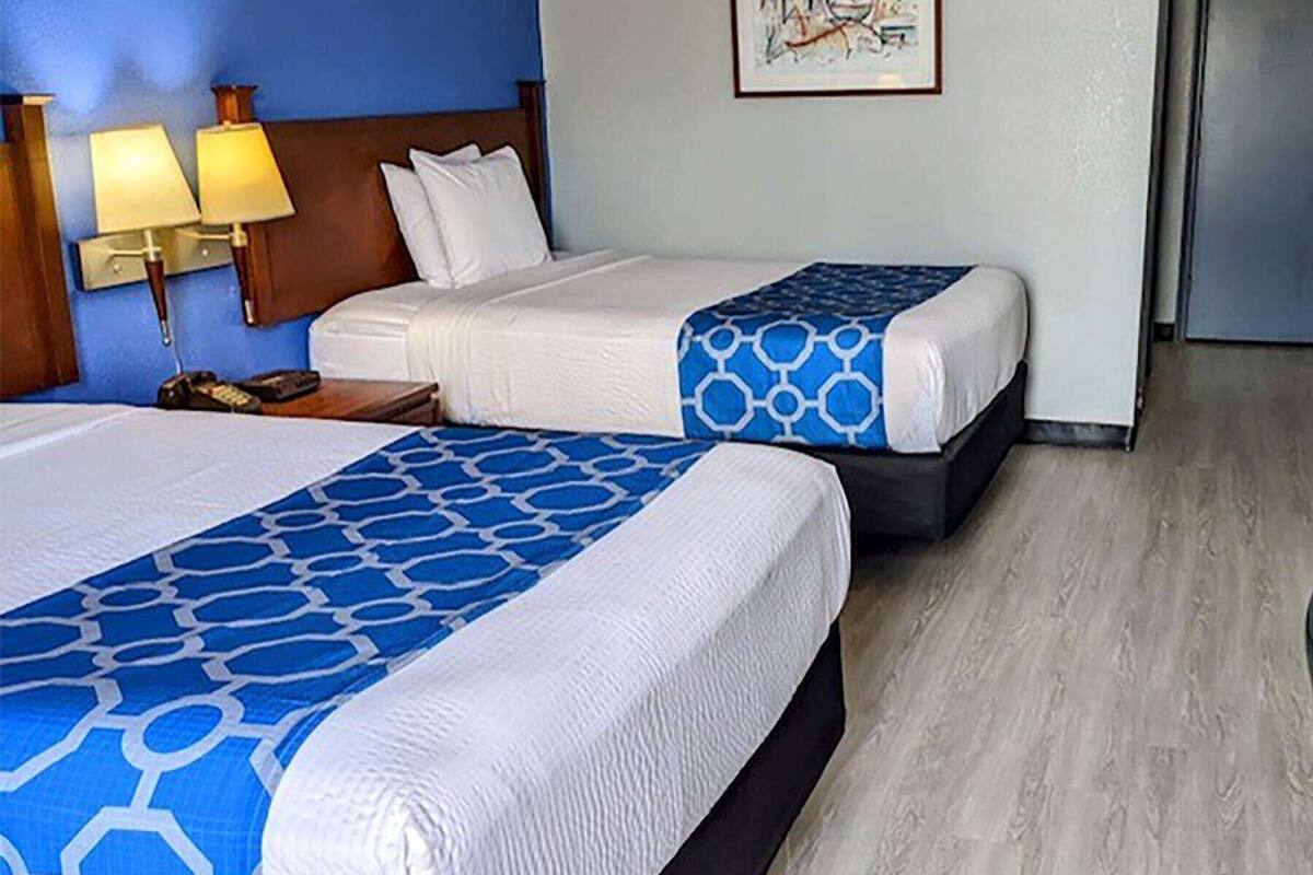 Two beds with white and blue patterned bedspreads in a hotel room.