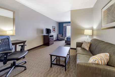 Premium bedding, individually decorated, individually furnished, desk. Comfort Inn & Suites Oklahoma City West - I-40