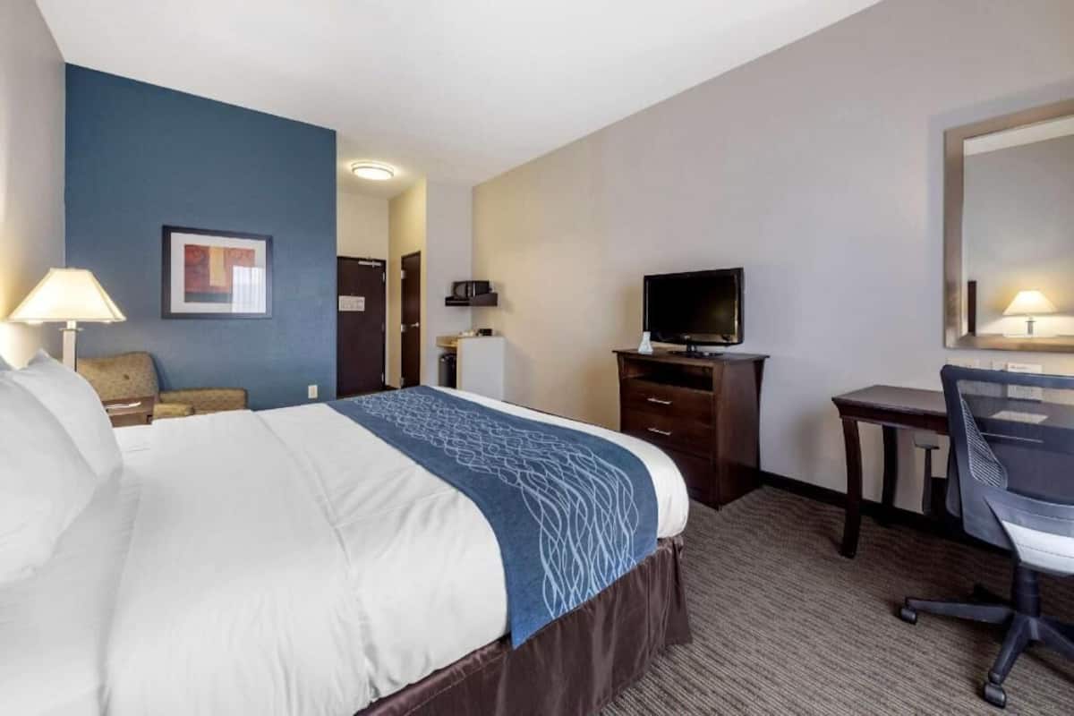 A hotel room with a bed, desk, chair, TV, and a framed picture on the wall.