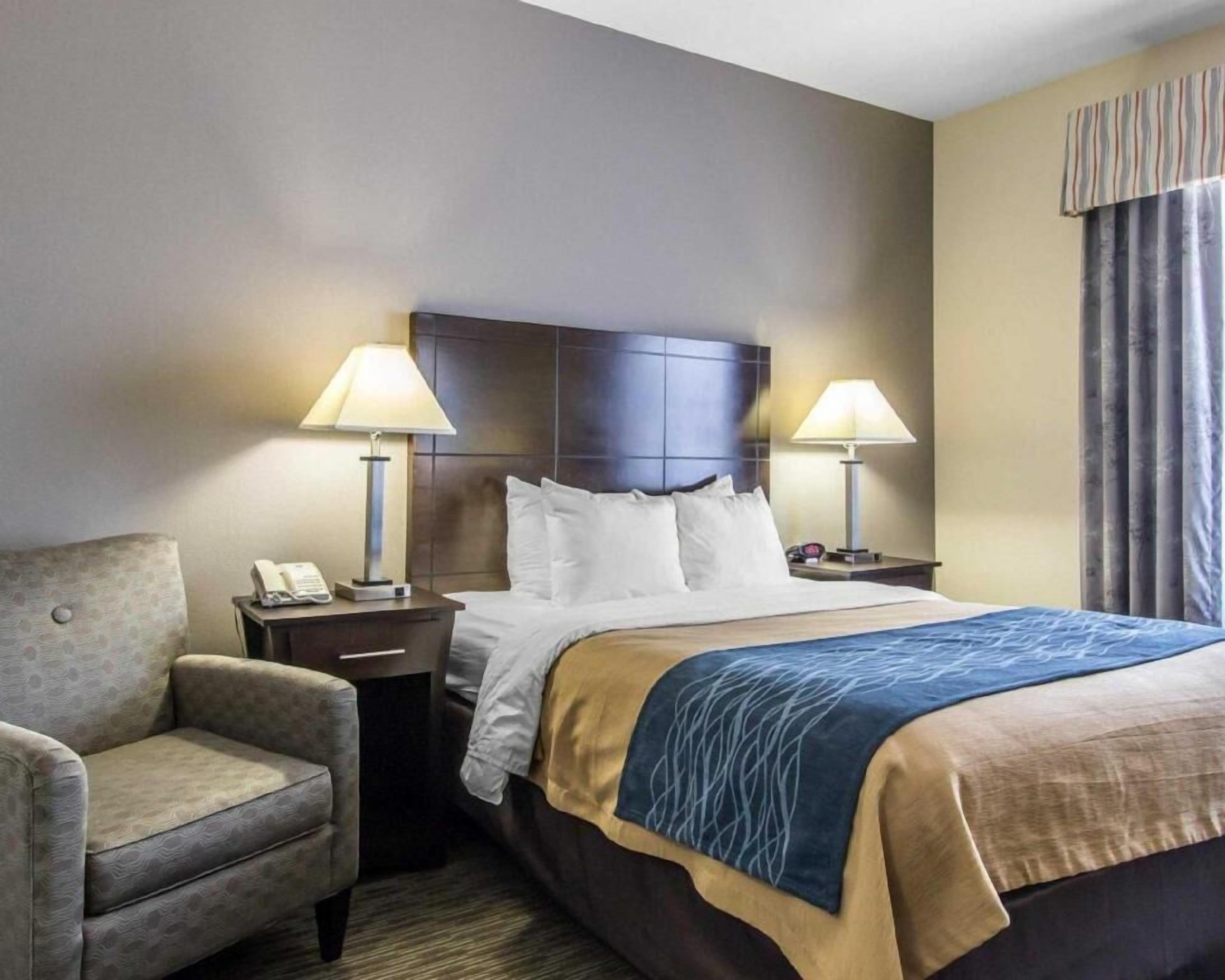 Premium bedding, individually decorated, individually furnished, desk