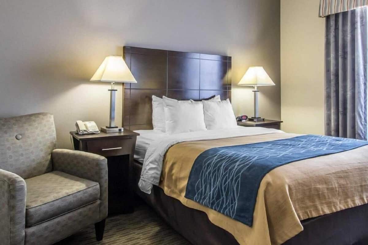 Premium bedding, individually decorated, individually furnished, desk