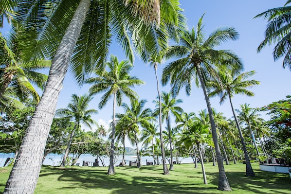 Property grounds - Lomani Island Resort & Spa (Malolo Lailai Island)