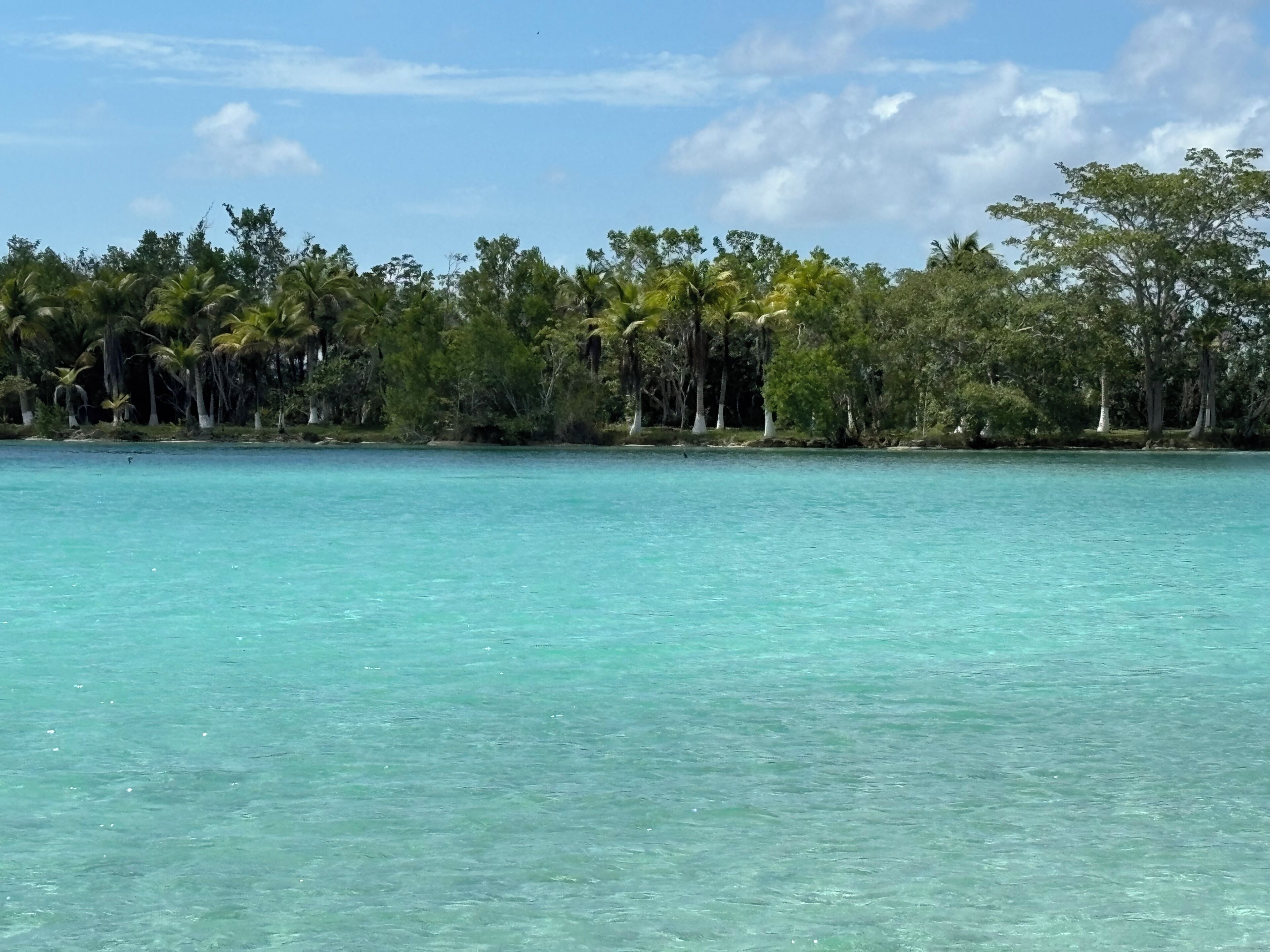 Foto - Maison Tulum