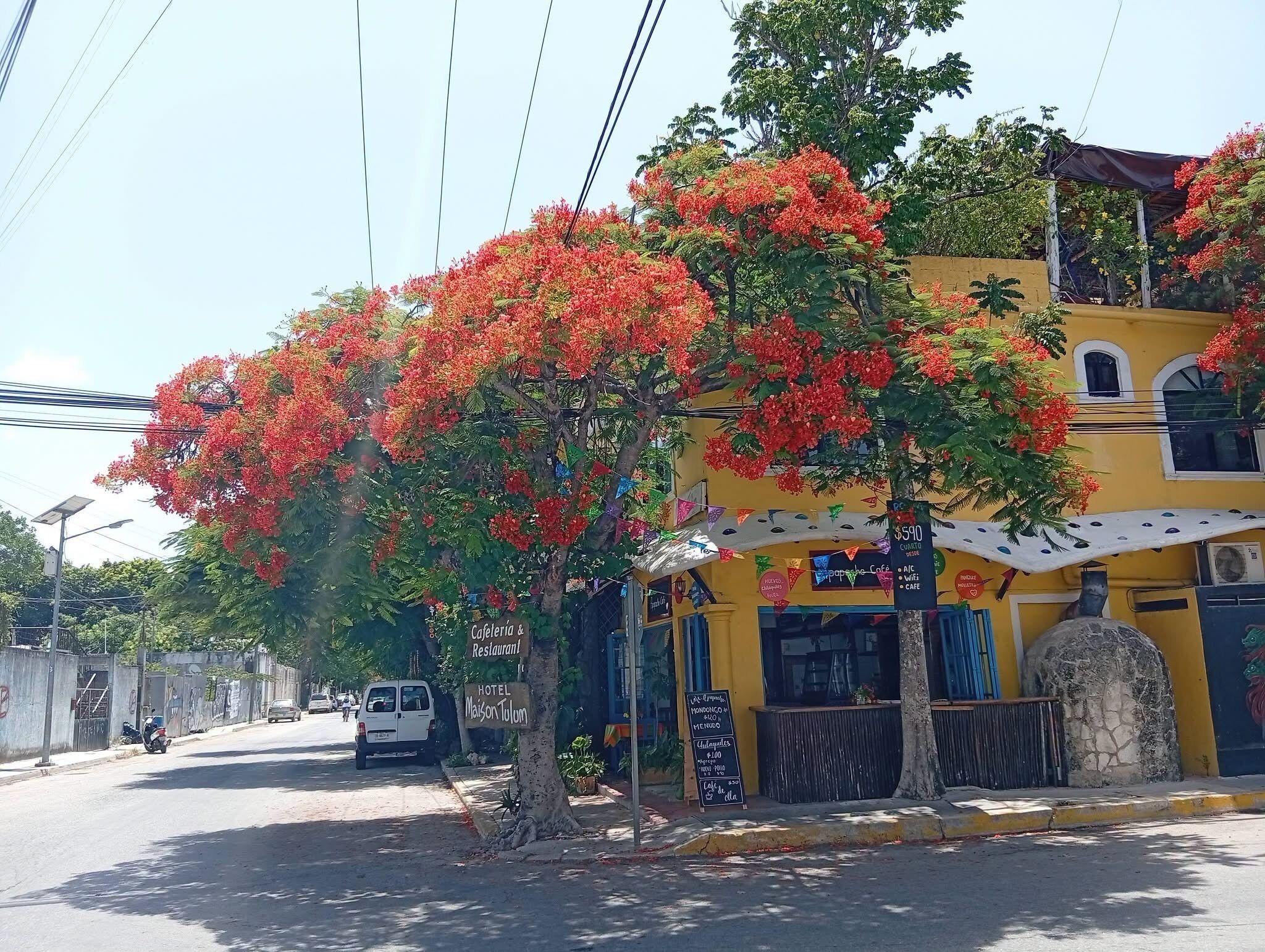Foto - Maison Tulum