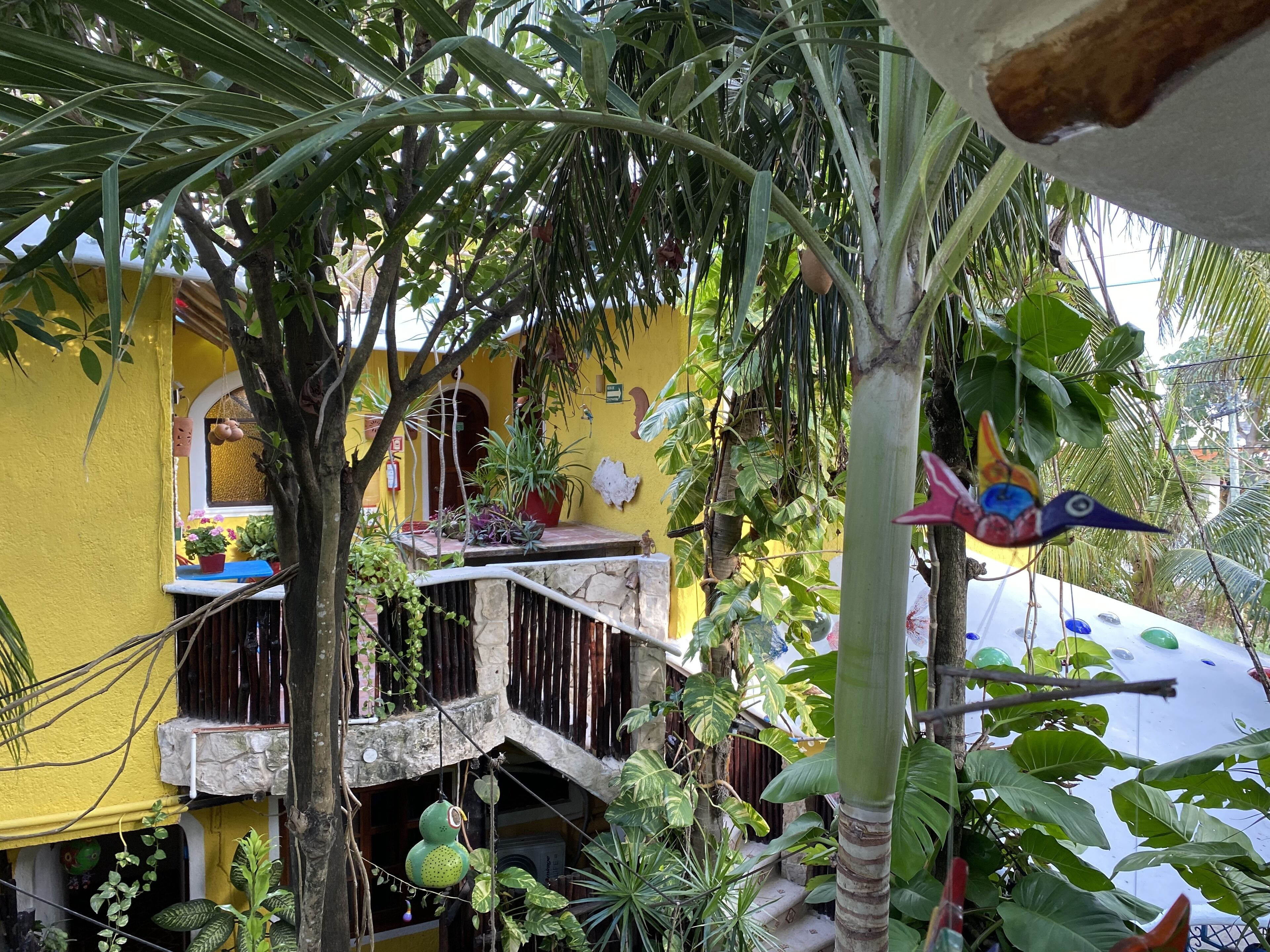 A yellow building with a stone staircase leading to a balcony, surrounded by lush greenery and various plants.