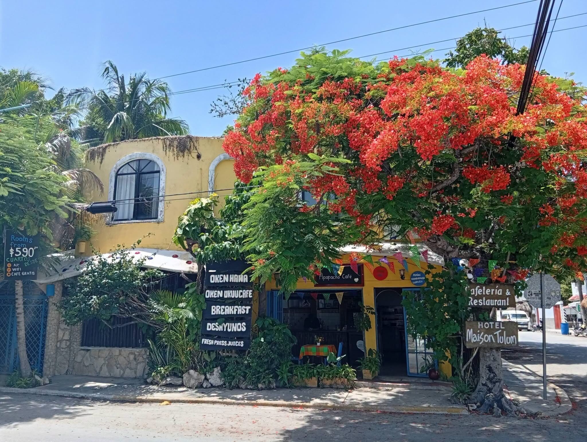 Foto - Maison Tulum