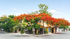A street view with a yellow building, a bicycle parked in front, and a tree with red flowers. - Maison Tulum (Tulum)