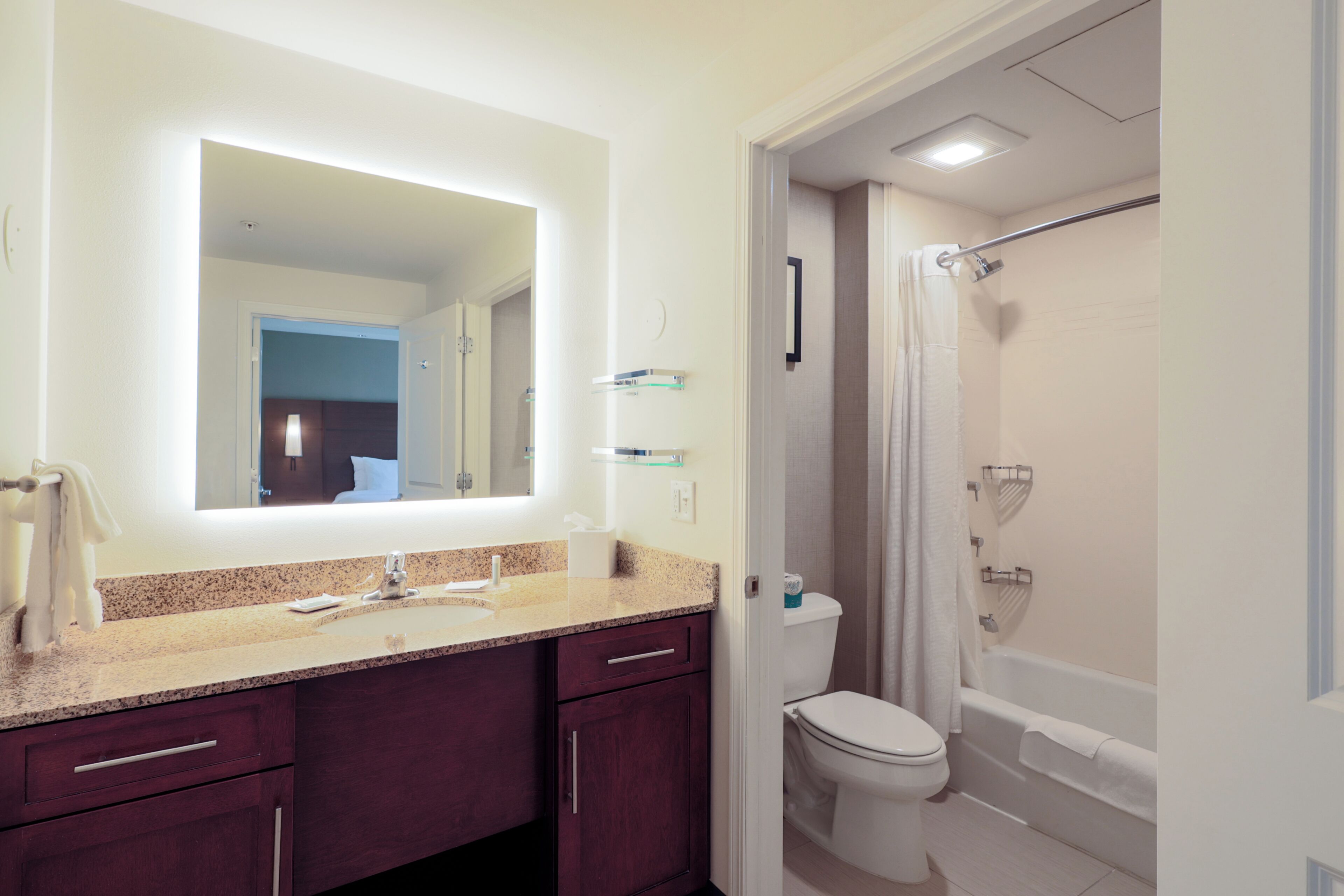 A bathroom with a vanity, a toilet, a shower, and a mirror.