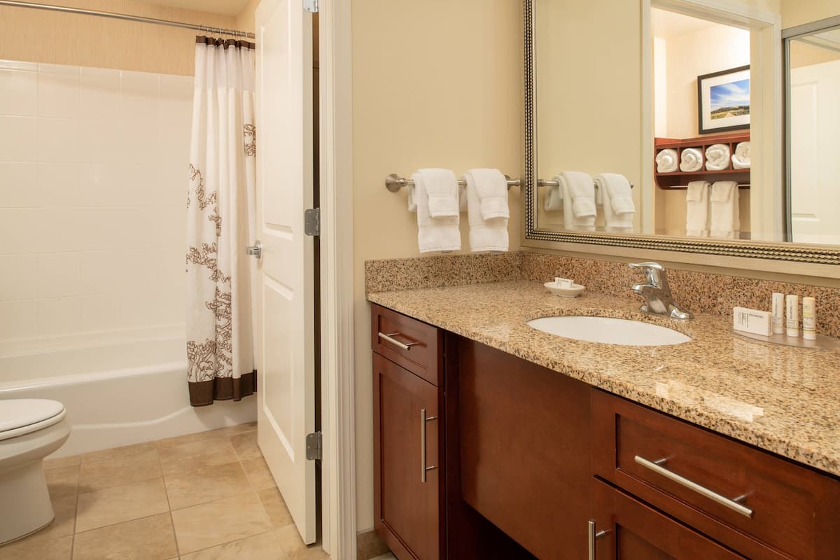 combined shower/bathtub, free toiletries, hair dryer, towels