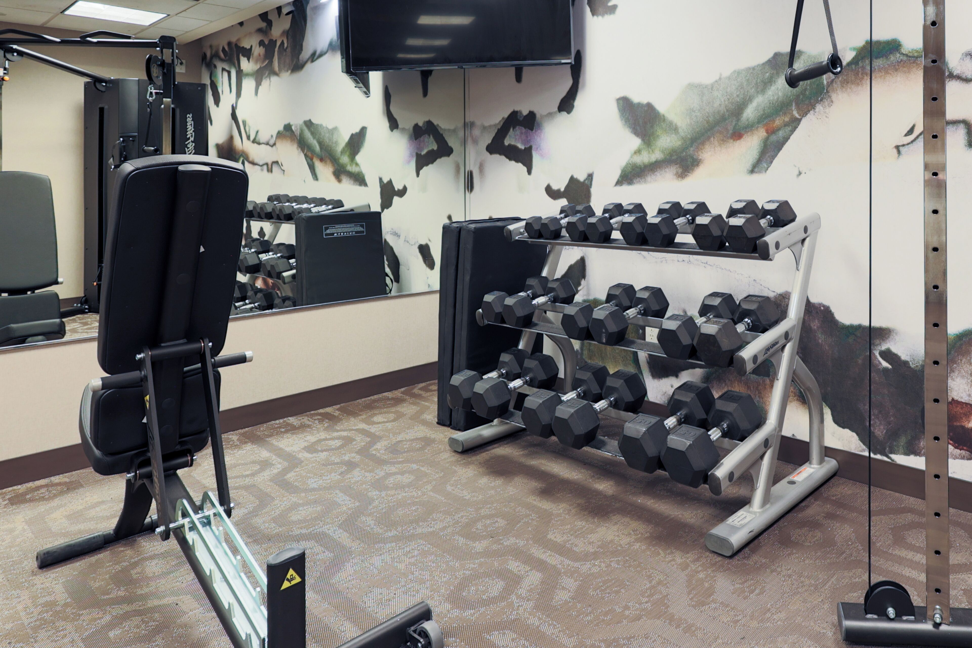 A gym with exercise equipment, including a squat rack and a rack of dumbbells.