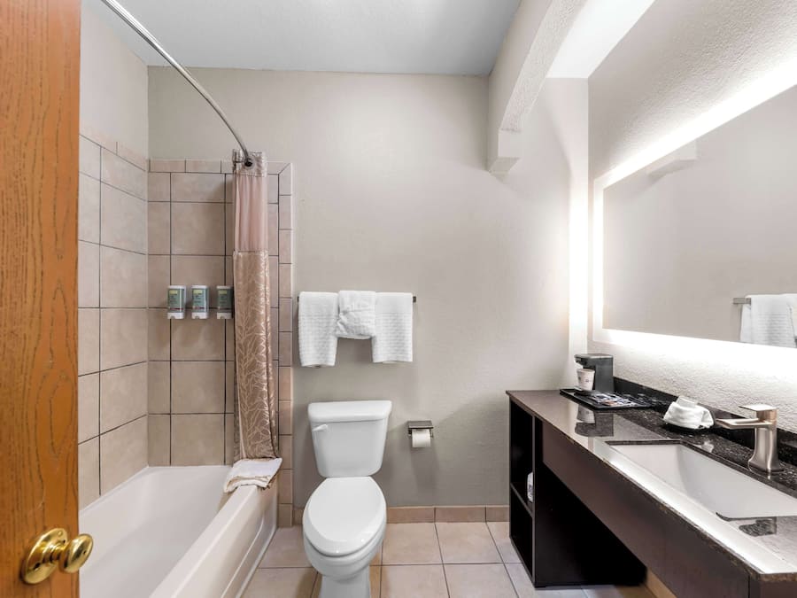 Combined shower/bathtub, eco-friendly toiletries, hair dryer, towels