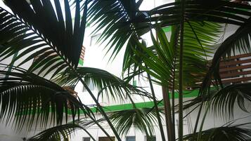 Standard Studio, Garden View, Ground Floor | View from property