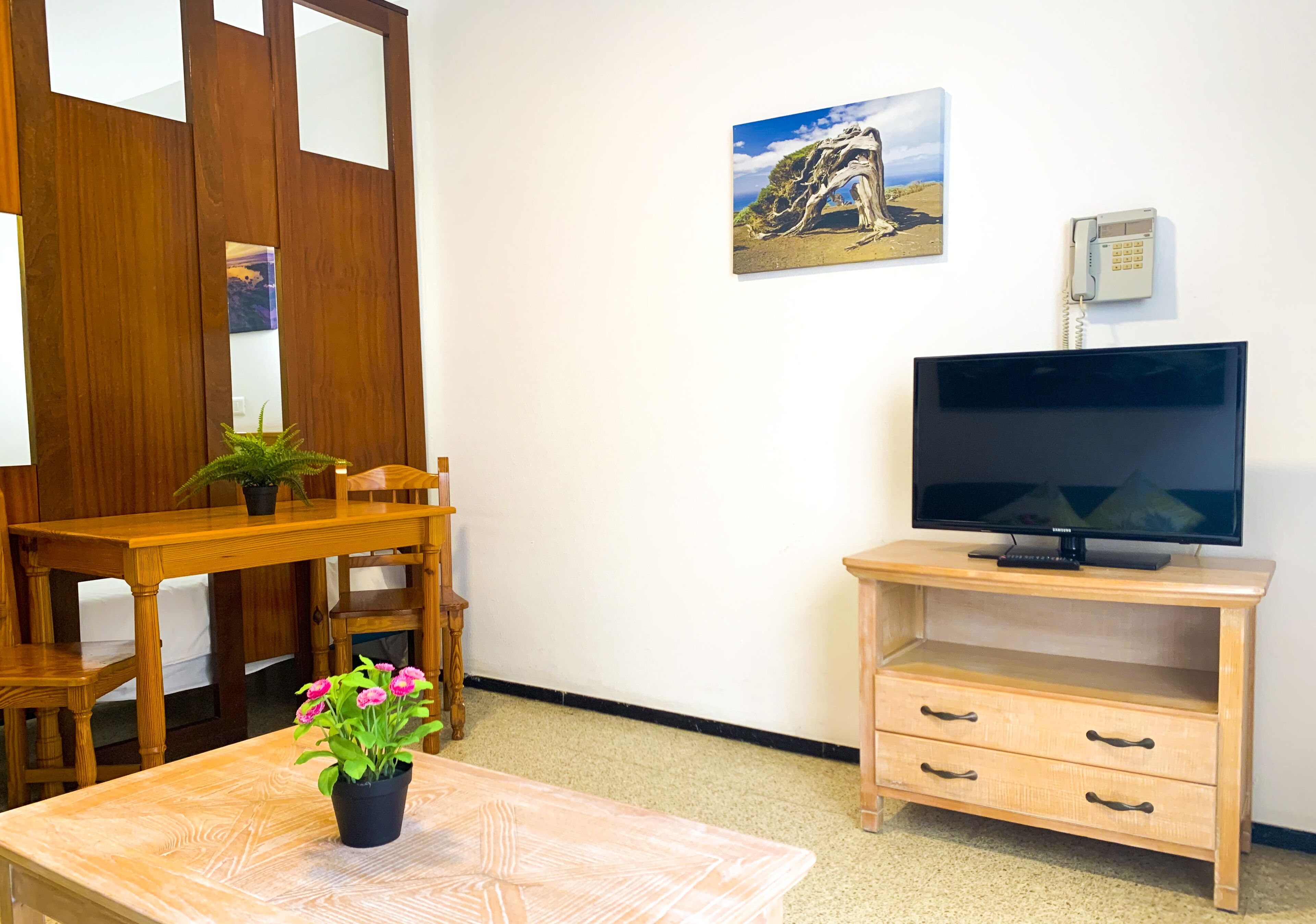 Une pièce avec un bureau en bois, un téléviseur posé sur un meuble en bois, une plante en pot et un tableau encadré accroché au mur.
